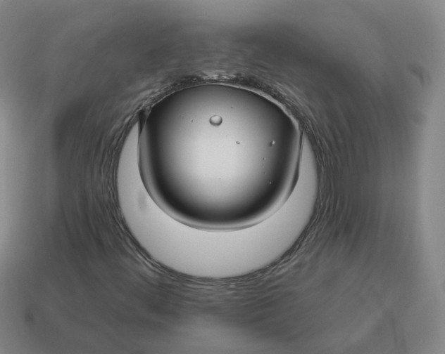 X0000114511444200911091120