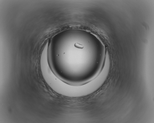 X0000114511445200911091120