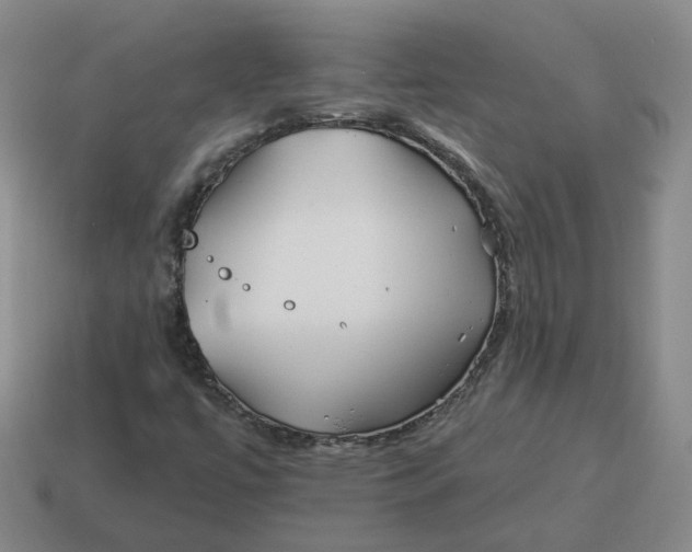 X0000114511447200911091120