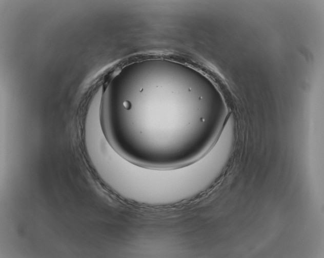 X0000114511448200911091120