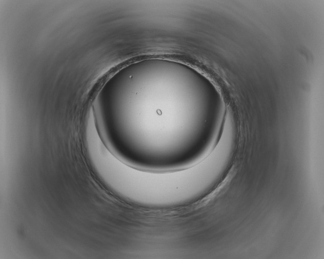 X0000114511449200911091120