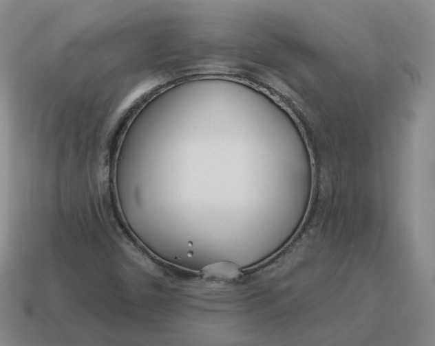 X0000114511450200911091120