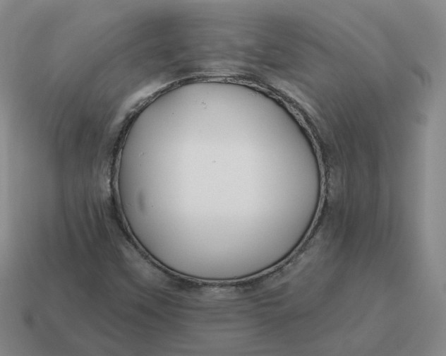 X0000114511451200911091120