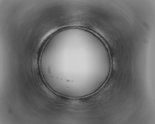 X0000114511452200911091120