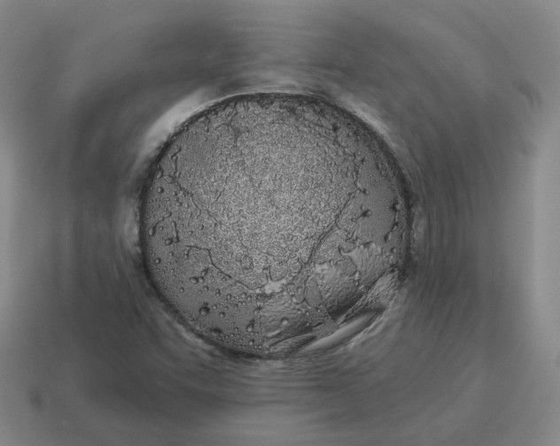 X0000114511455200911091120