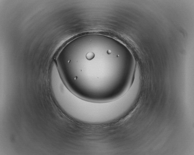 X0000114511457200911091120