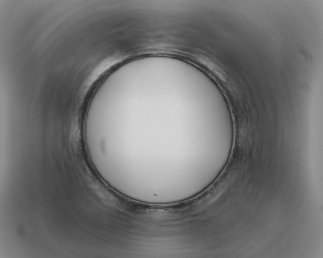 X0000114511458200911091120