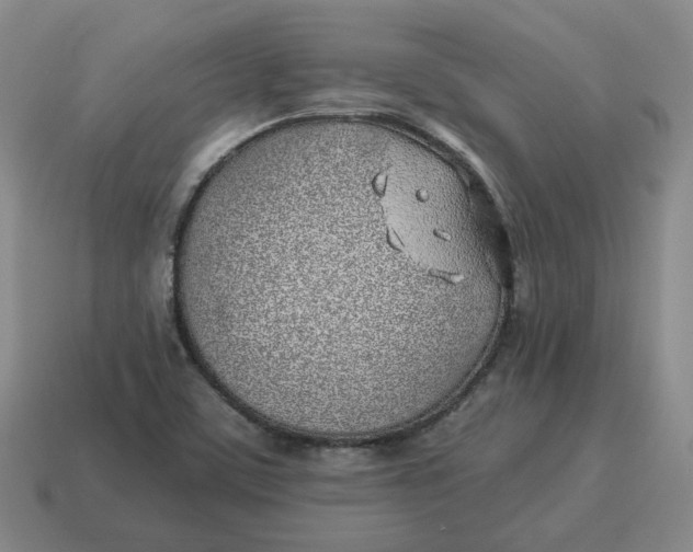 X0000114511459200911091120