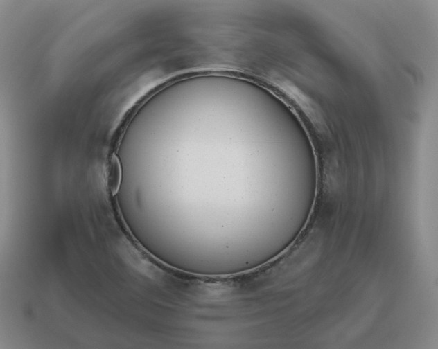 X0000114511460200911091120