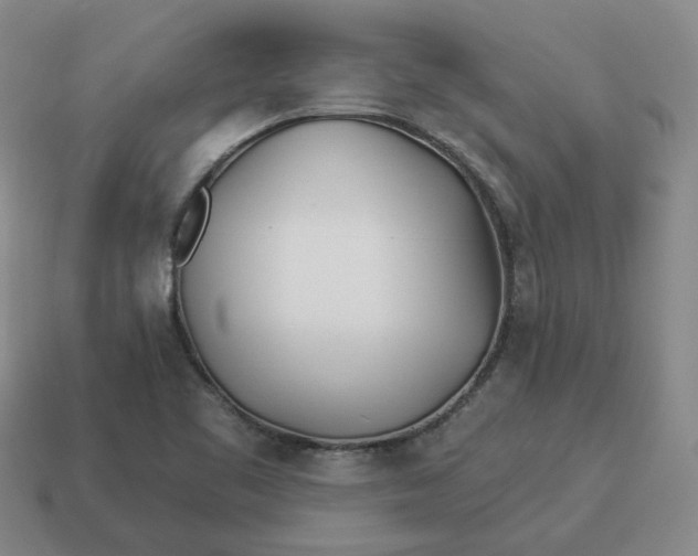 X0000114511461200911091120