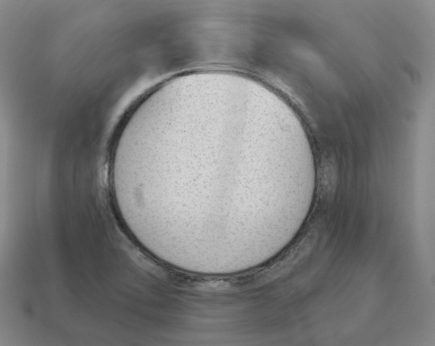 X0000114511462200911091120