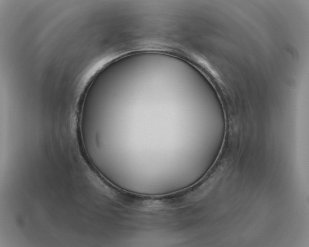 X0000114511463200911091120