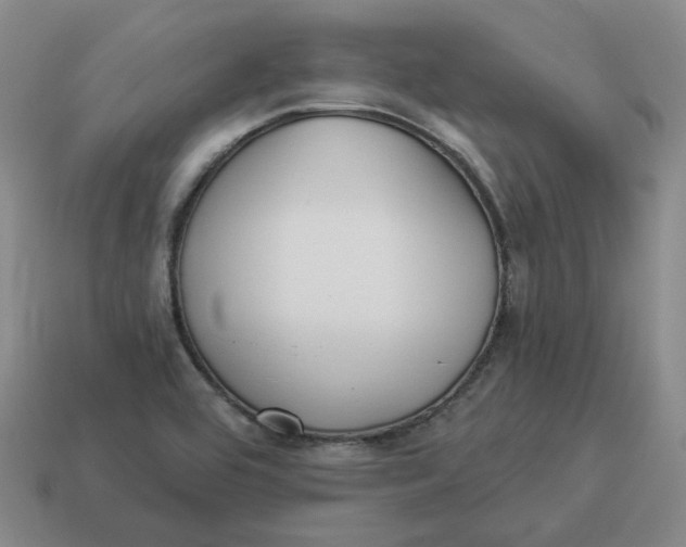 X0000114511464200911091120