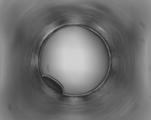 X0000114511465200911091120