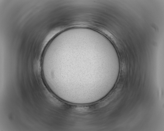 X0000114511466200911091120