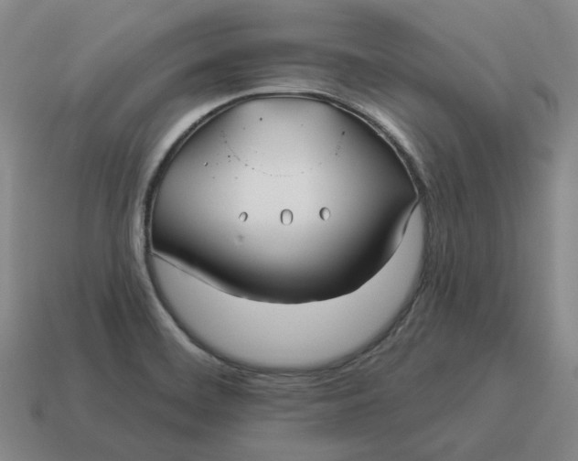 X0000114511468200911091120