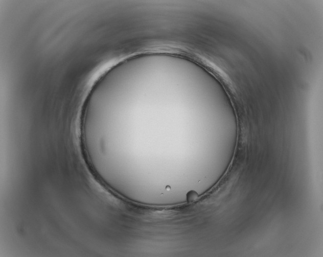 X0000114511471200911091120