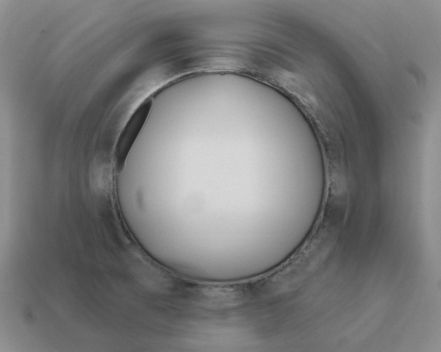 X0000114511473200911091120