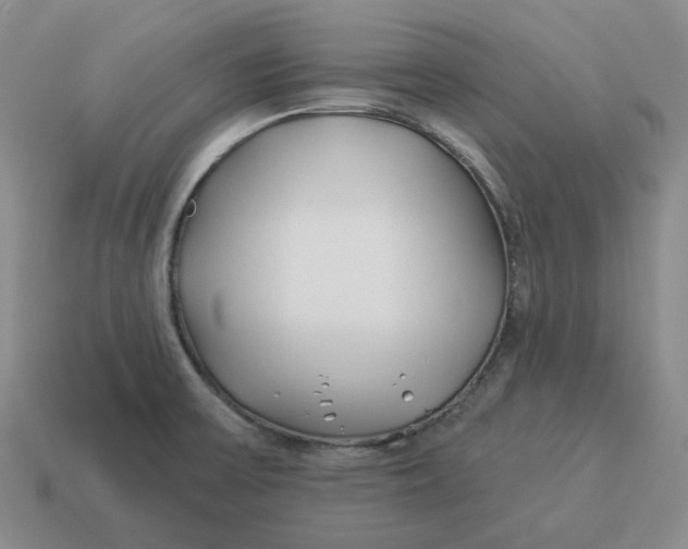 X0000114511475200911091120