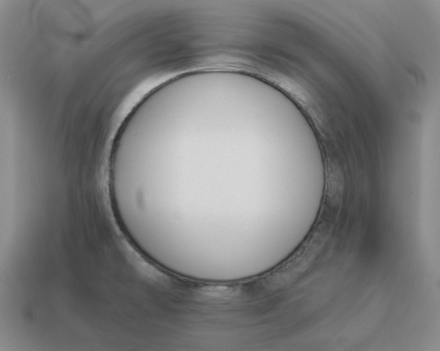 X0000114511478200911091120