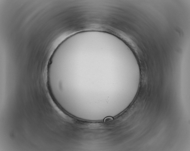 X0000114511479200911091120