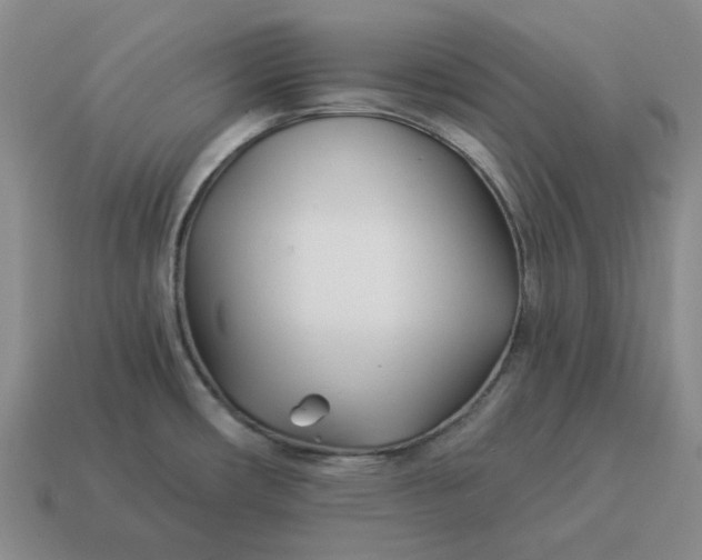 X0000114511482200911091119