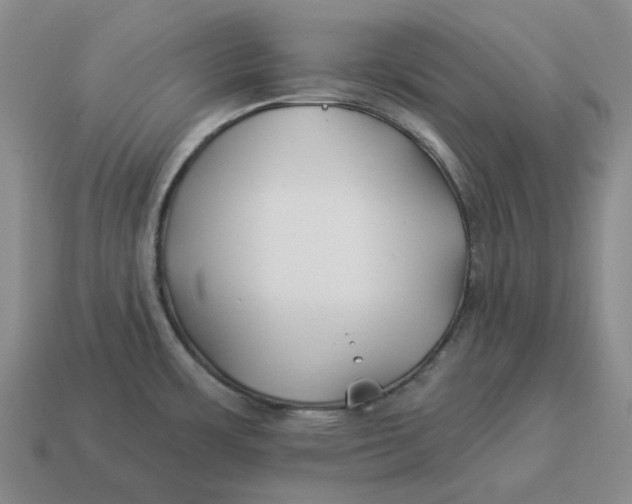 X0000114511483200911091119