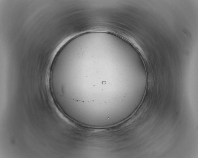 X0000114511484200911091119