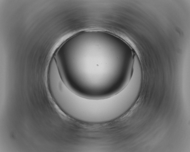 X0000114511485200911091119