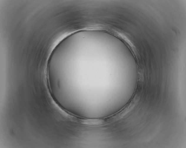 X0000114511487200911091119