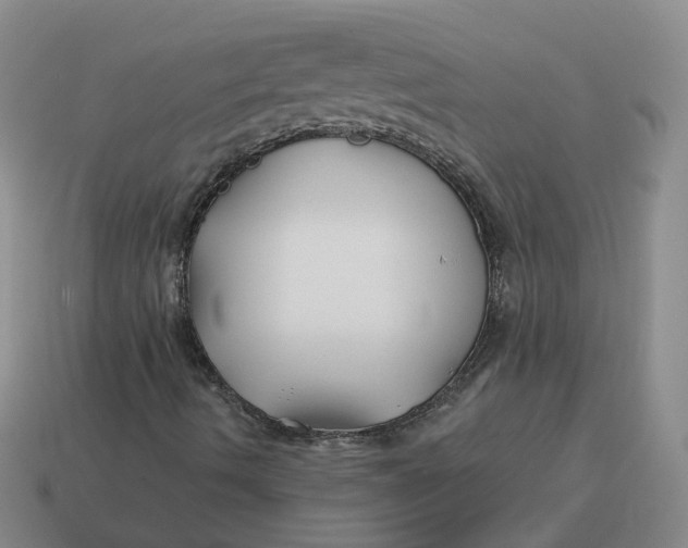 X0000114511490200911091119