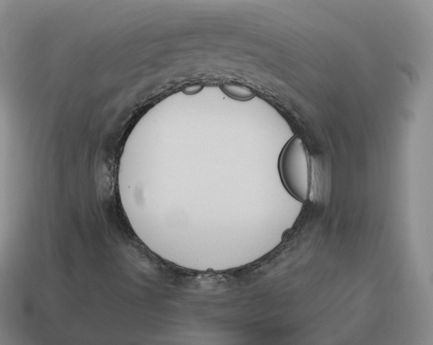 X0000114511491200911091119