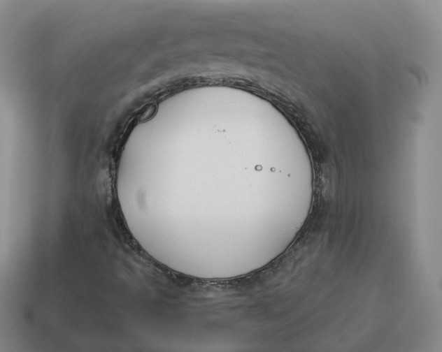 X0000114511493200911091119