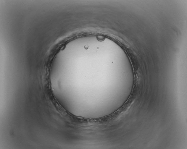 X0000114511494200911091119