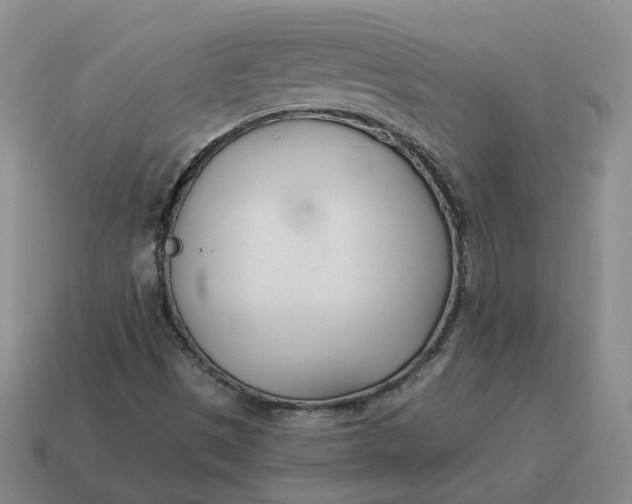 X0000114511497200911091119