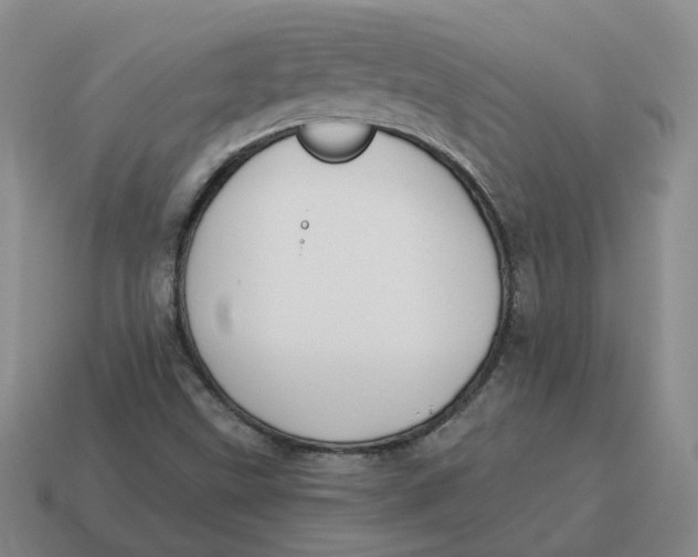 X0000114511499200911091119