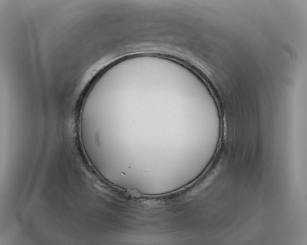 X0000114511501200911091119