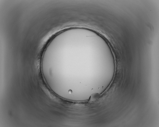 X0000114511503200911091119