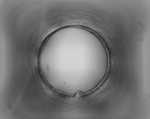 X0000114511505200911091119