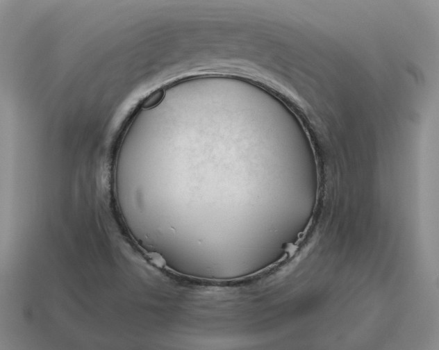 X0000114511506200911091119