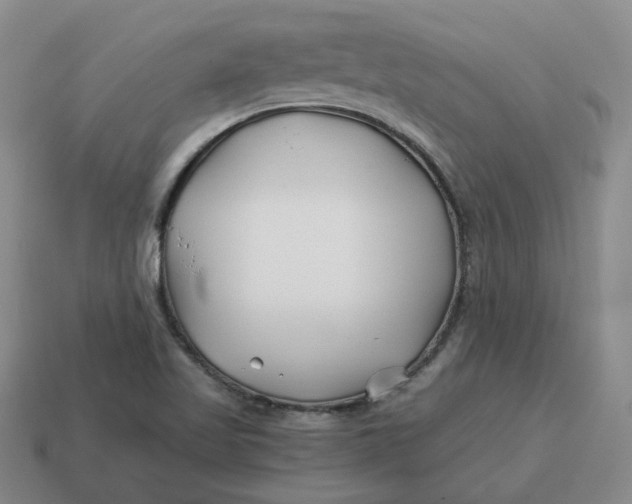 X0000114511509200911091119