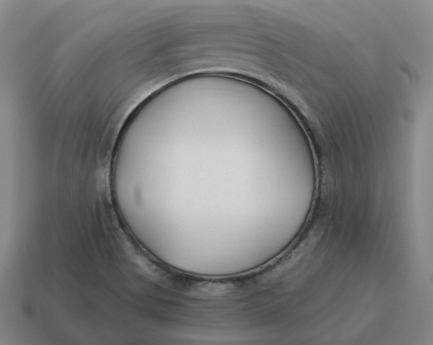 X0000114511513200911091119