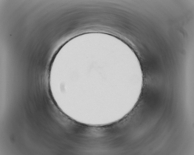 X0000114511514200911091119