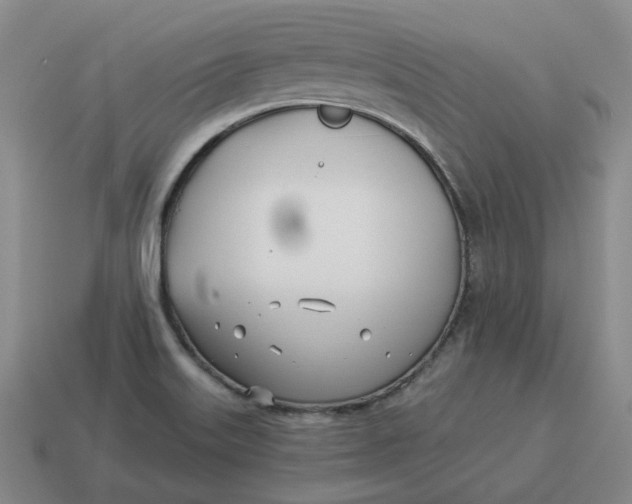 X0000114511515200911091119