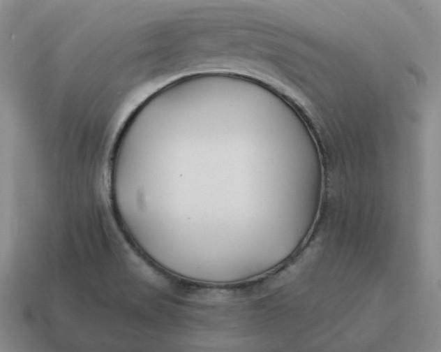 X0000114511517200911091119