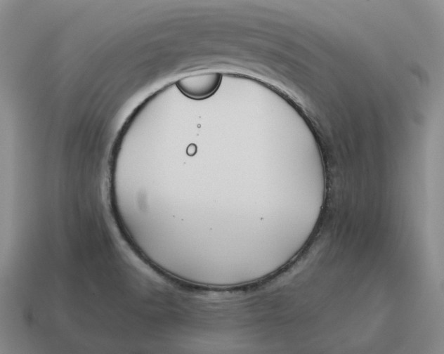 X0000114511518200911091119