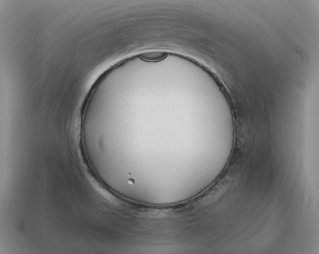 X0000114511519200911091119