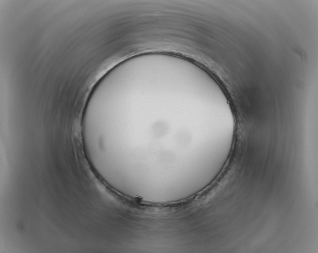 X0000114511521200911091119