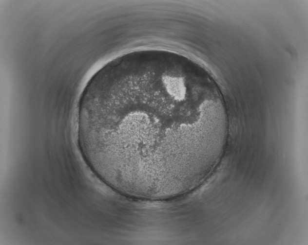 X0000114511522200911091119