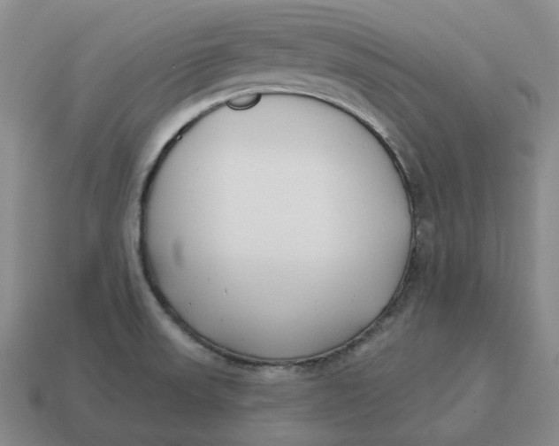 X0000114511523200911091119